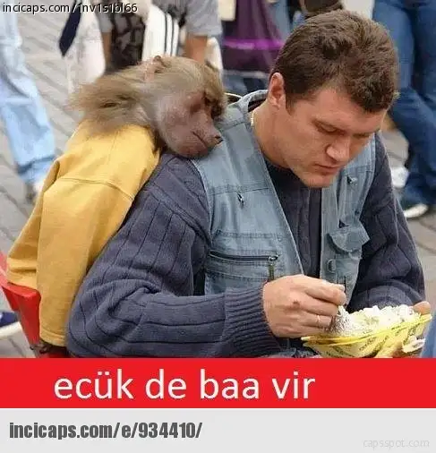 934410.webp