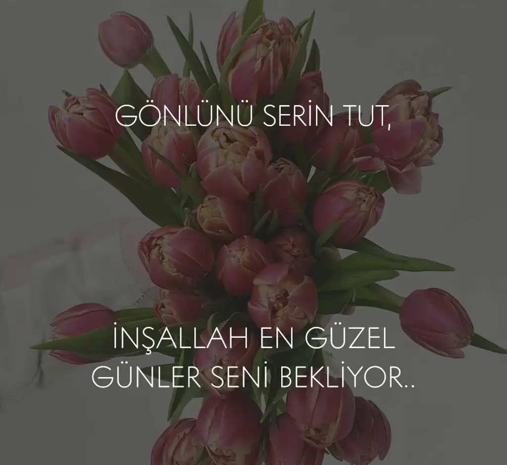 9351362A-4C67-41D3-8AA2-26367E3DE4D7.webp