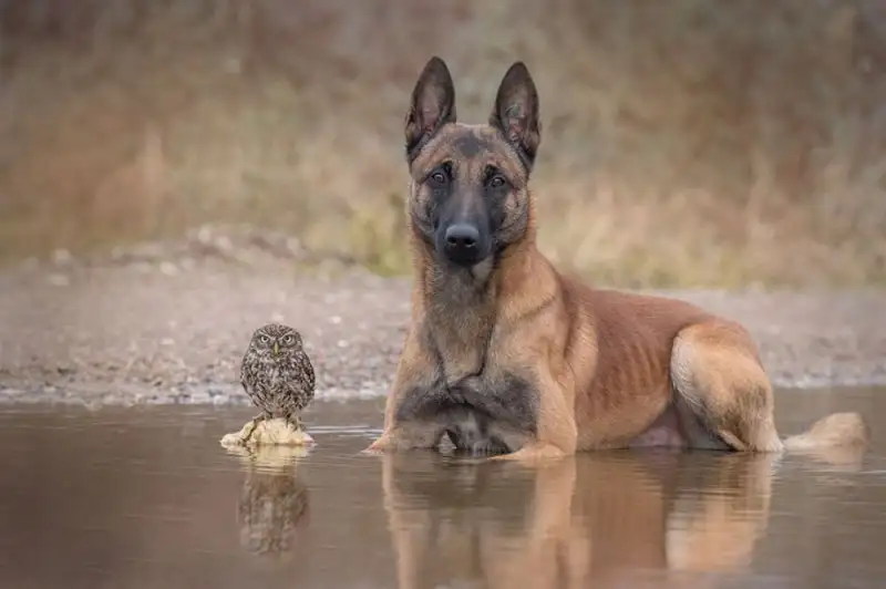 93c9ca9b0a9f46e792e9dedbb14243aa.jpg.1000x0_q85_autocrop_crop-smart_upscale (1).webp
