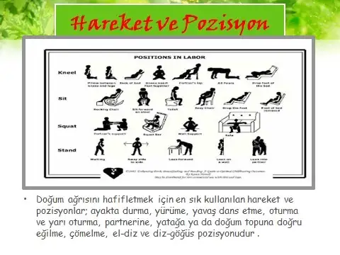 95411568-6d40-43b3-bc54-669161a24b8c.webp