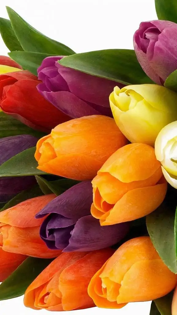 95608eec04dc8e470d9bc4fb649454ad.webp