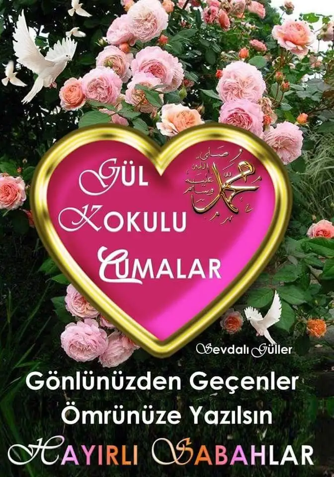 95e63a88f686f0bf99190cd5f493375f.webp