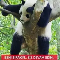 9605B690-34EB-4246-8544-FC2023AFF6C0.webp
