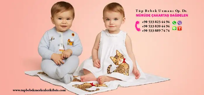 960x327xAW16_Baby_August-min.jpg.pagespeed.ic.webp