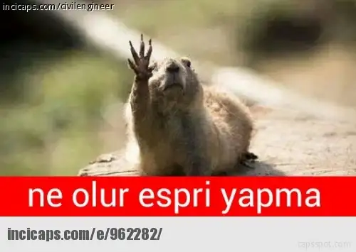 962282.webp