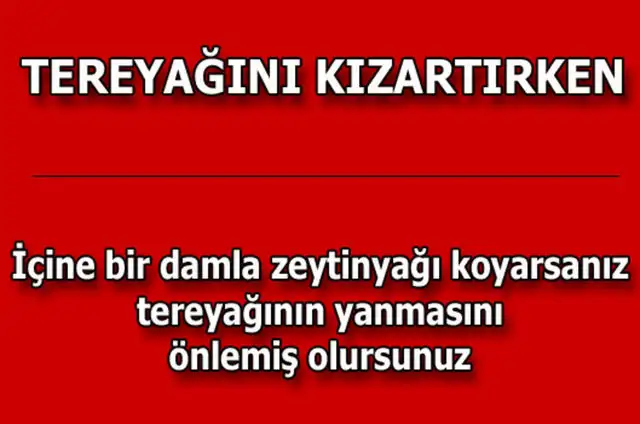 967889592e1a859dc79b857c6b9a9232_k.webp