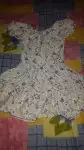 975156-09f17890a11ee1bce671c049ef039457.webp