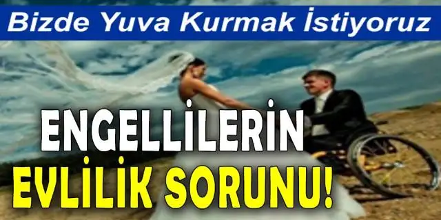 97733.webp