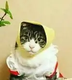 97D7426D-5A86-4B43-9C62-74FA864A77E2.webp