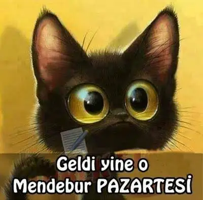 98626CFB-0F91-4ED5-AE60-8861495A2077.webp
