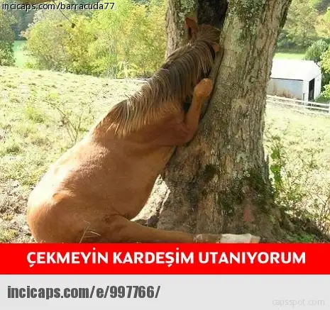 997766.webp