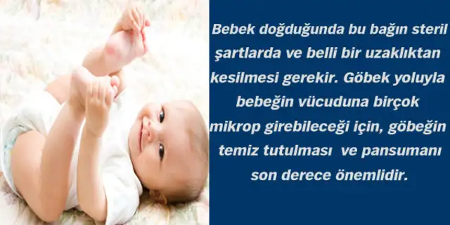 999253_48fb12300417eb5b3eeea12c1ec84b2d_640x640.webp