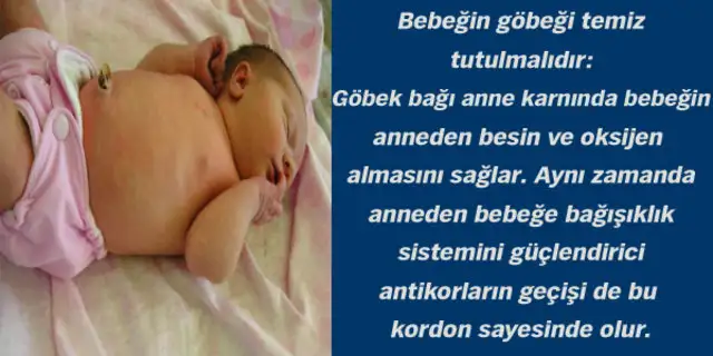999253_8916d96d5027bd331be4f50d2ad4b723_640x640.webp
