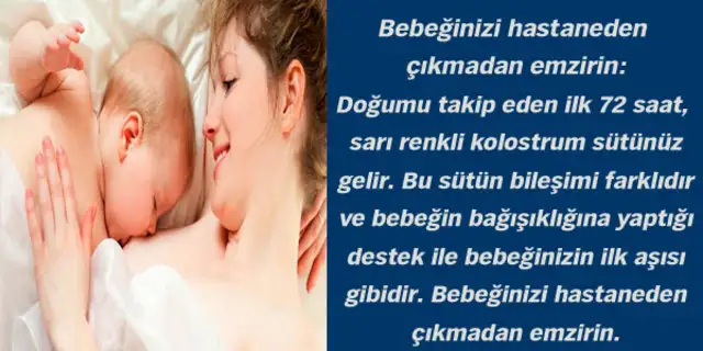 999253_9e7870409f79549fe68901b90cf0cefd_640x640.webp