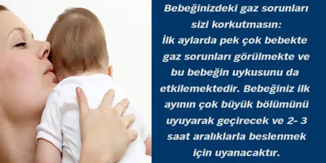 999253_d84ca1aa72b7004adba5020b29b01c65_640x640.webp