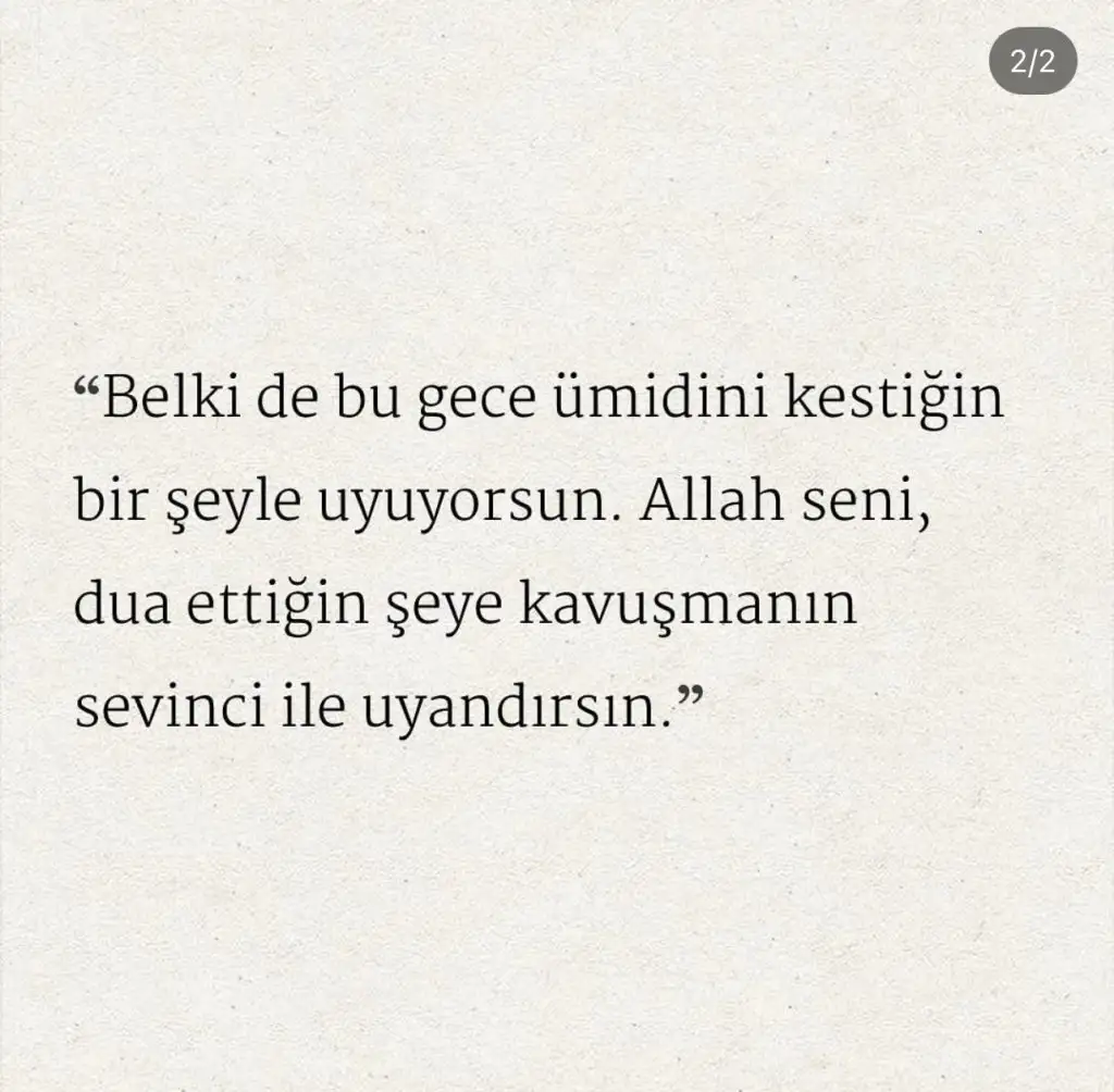 99A8B048-634E-4DC4-8741-8AA4C036DA15.webp