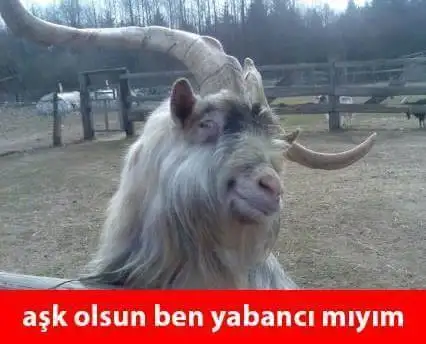 99EkJQ.webp