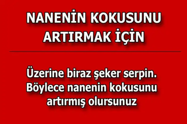 9c8d77b909845310a026a723e2553d7e_k.webp