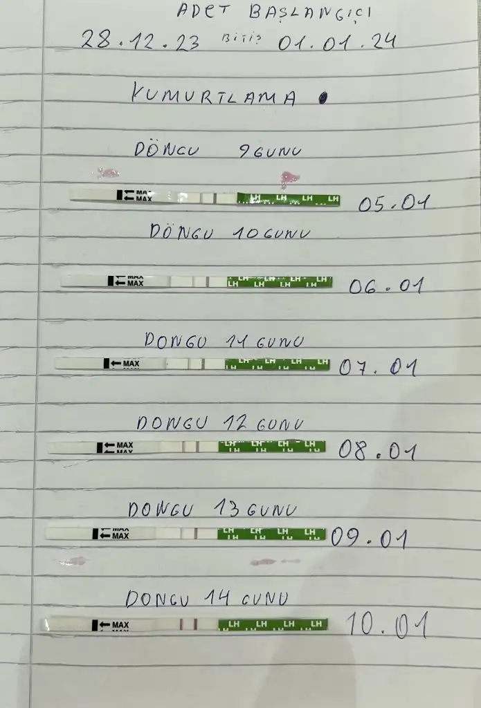 9ED06C3E-3DDF-4171-9D10-A346D2F623EC.webp