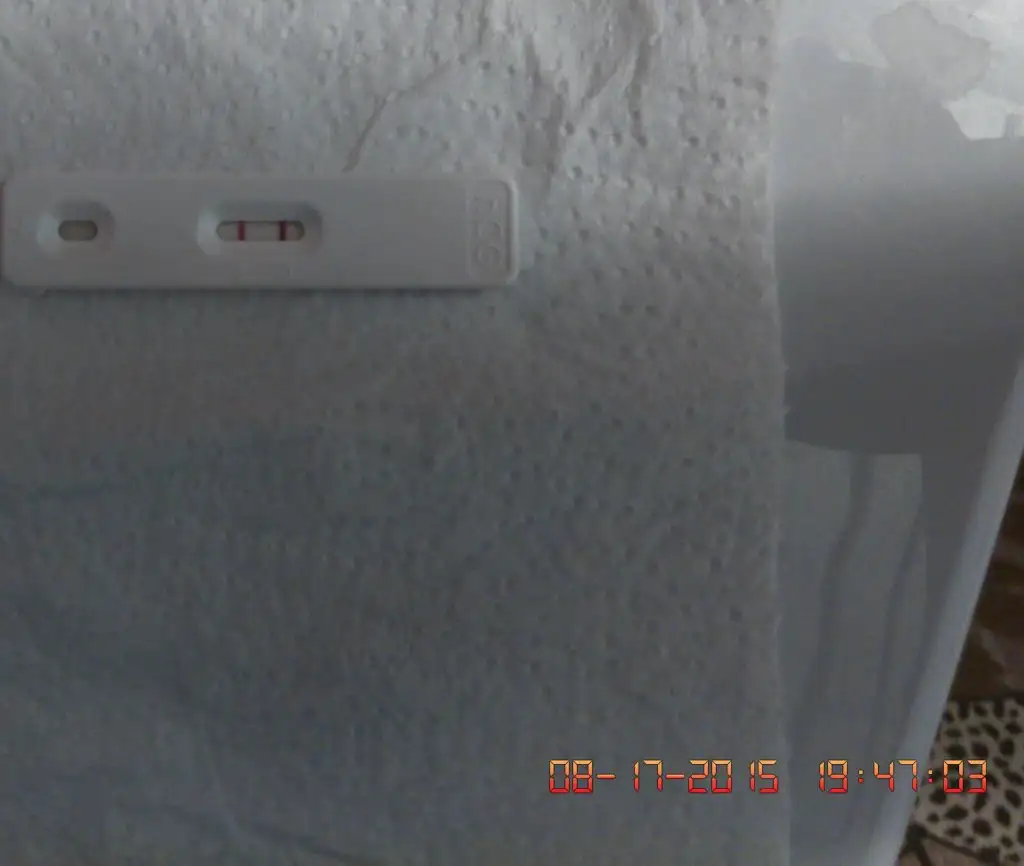 _20150817_201453.webp