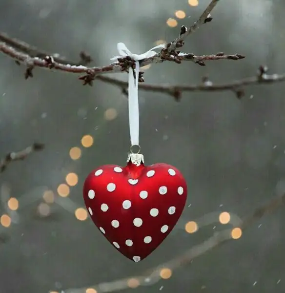 _20171230_134939.webp