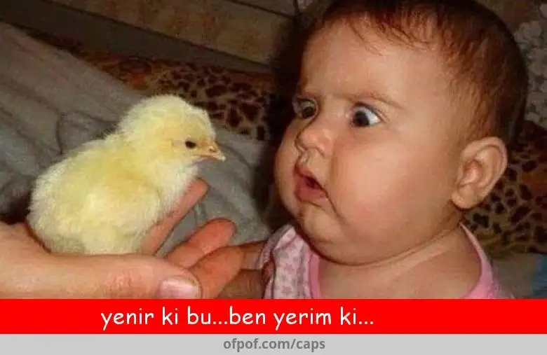 _780x507-kasnpq9olz.webp