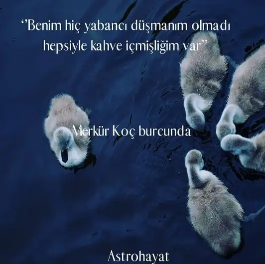 a.webp