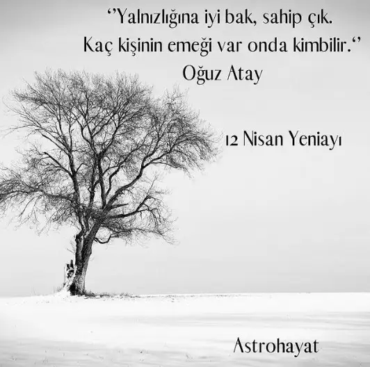 a.webp