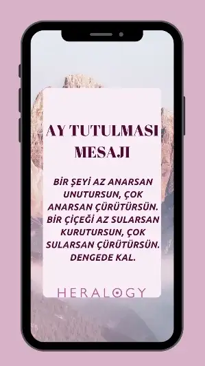 a.webp