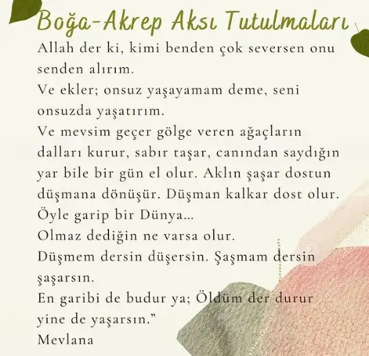 a.webp