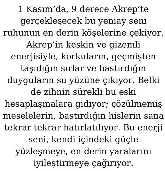 a0 (8).webp