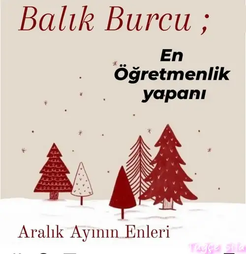 a1 (12).webp