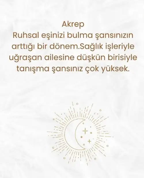 a1 (9).webp