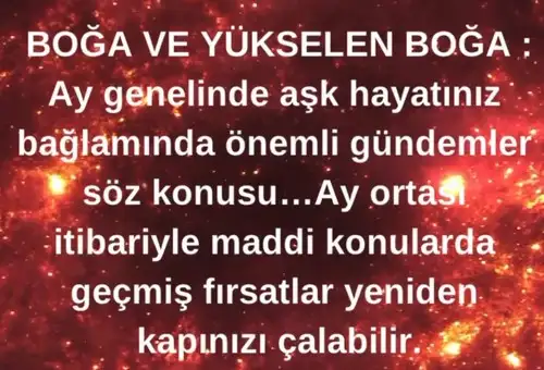 a10 (3).webp