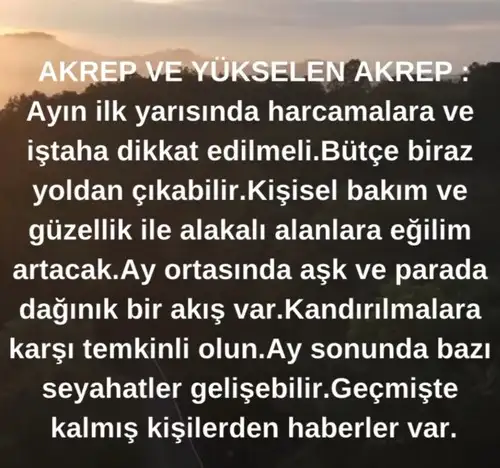 a10 (9).webp