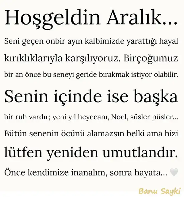 a11 (1).webp