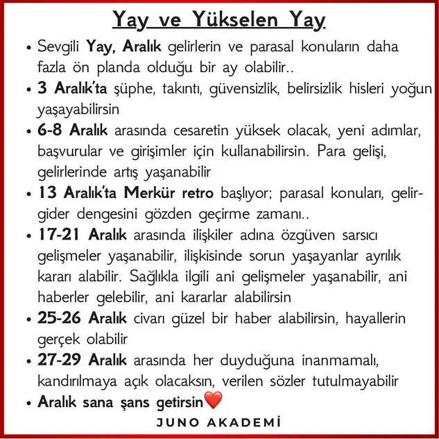 a12 (10).webp
