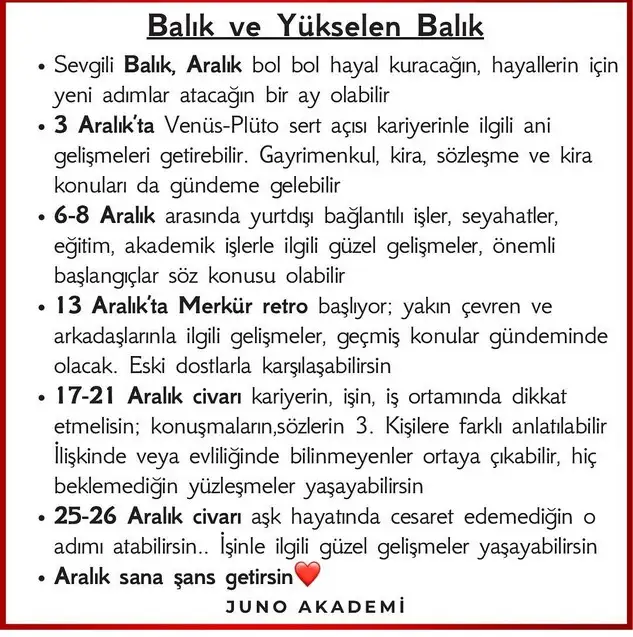 a12 (13).webp