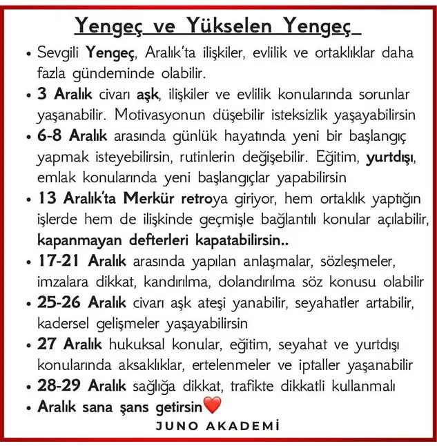 a12 (5).webp