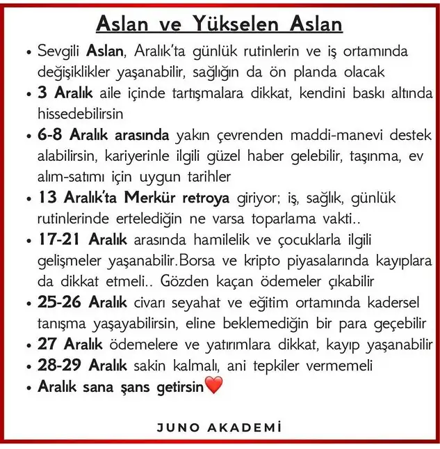 a12 (6).webp