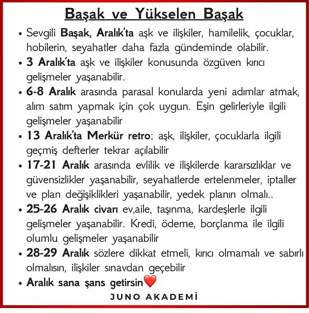 a12 (7).webp