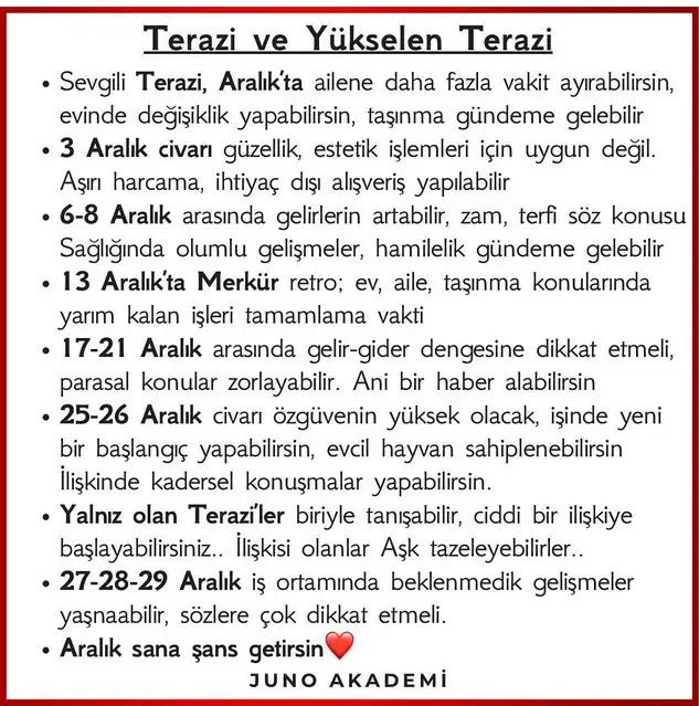 a12 (8).webp