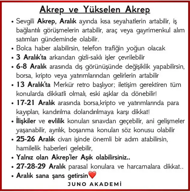 a12 (9).webp