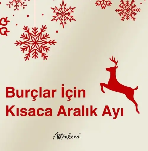 a14 (1).webp