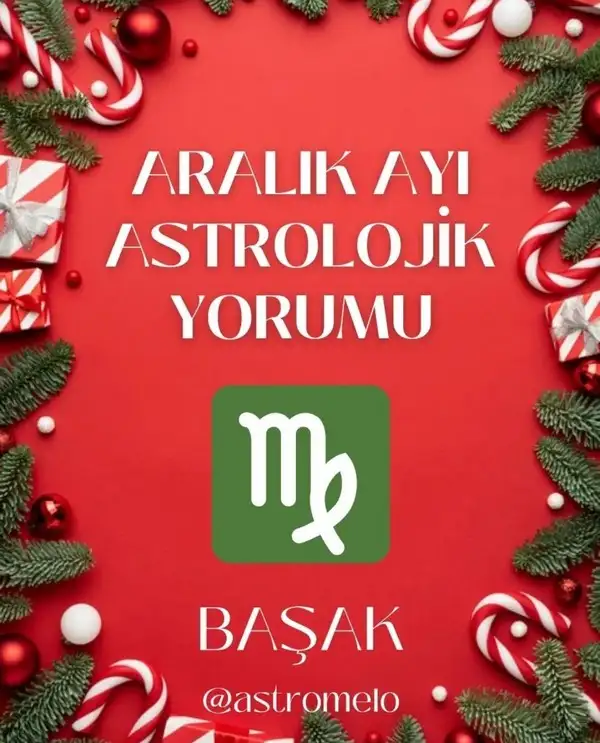 a14 (15).webp