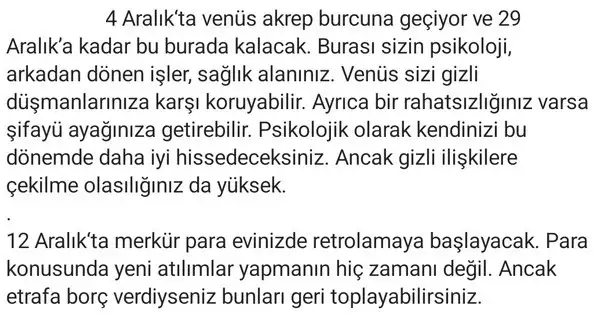 a14 (24).webp