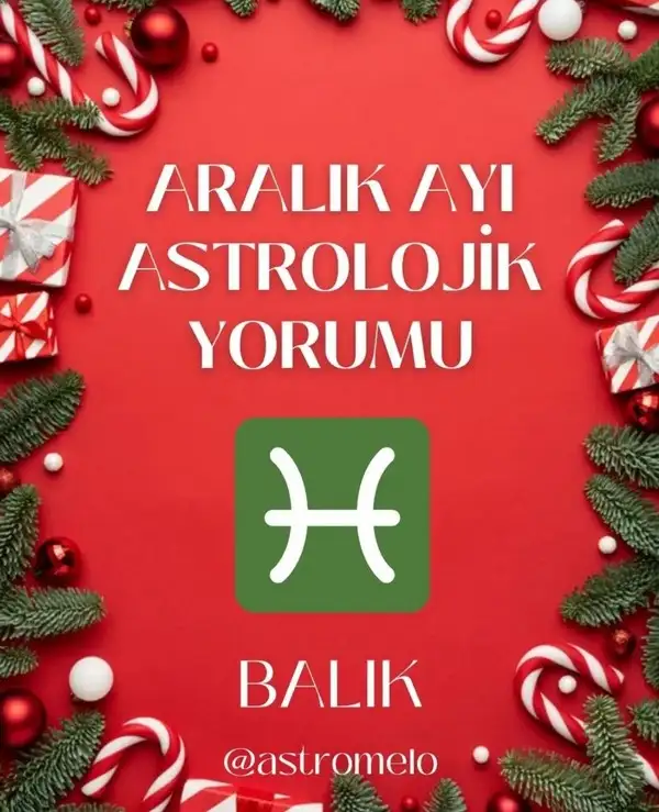 a14 (32).webp