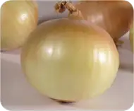 a16.webp