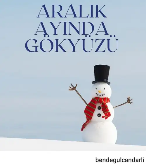 a17 (1).webp