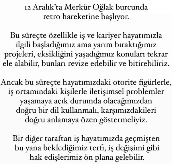 a17 (7).webp